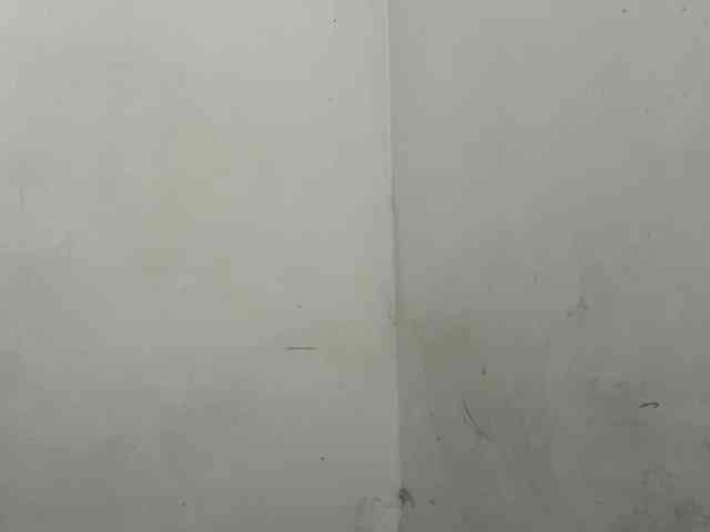 MaganAveni webcam
