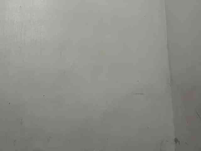 MaganAveni webcam