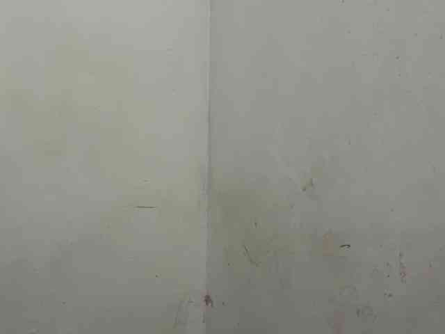 MaganAveni webcam