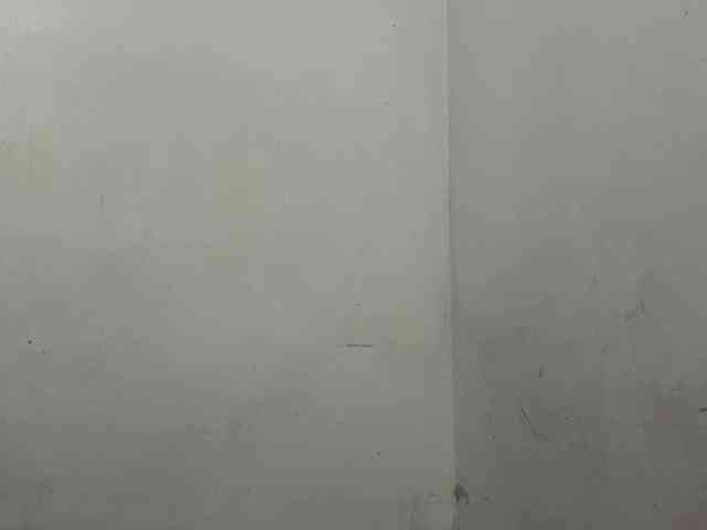 MaganAveni webcam