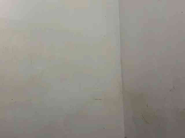 MaganAveni webcam
