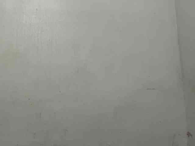 MaganAveni webcam
