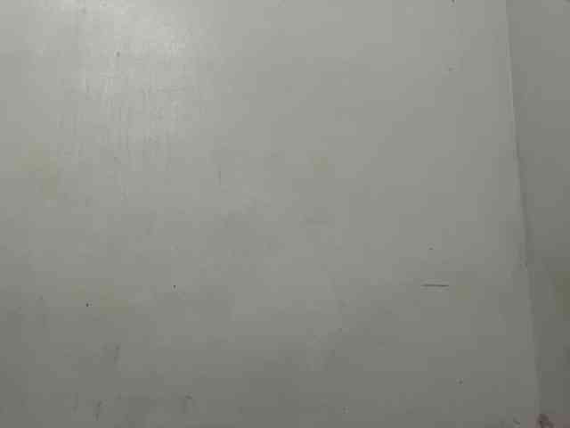 MaganAveni webcam