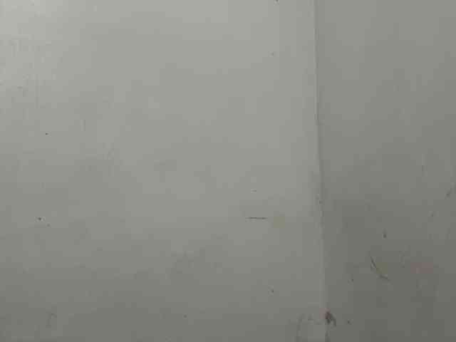 MaganAveni webcam