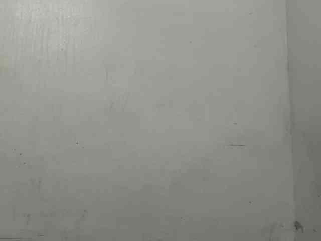 MaganAveni webcam