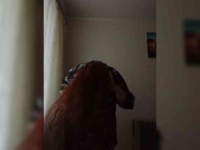 TattiPatti webcam