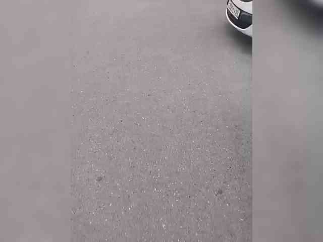 AlexxxAlexxxp