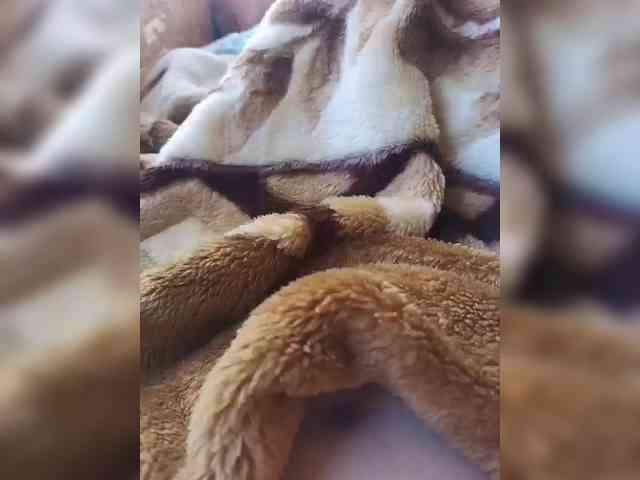 AlexxxAlexxxp