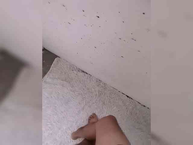 AlexxxAlexxxp AlexxxAlexxxp