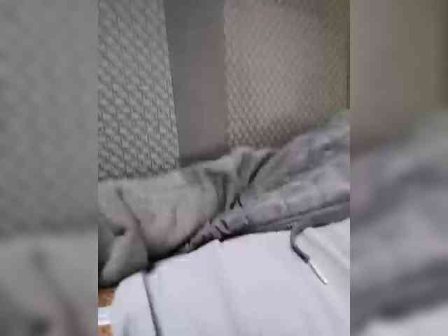 AlexxxAlexxxp