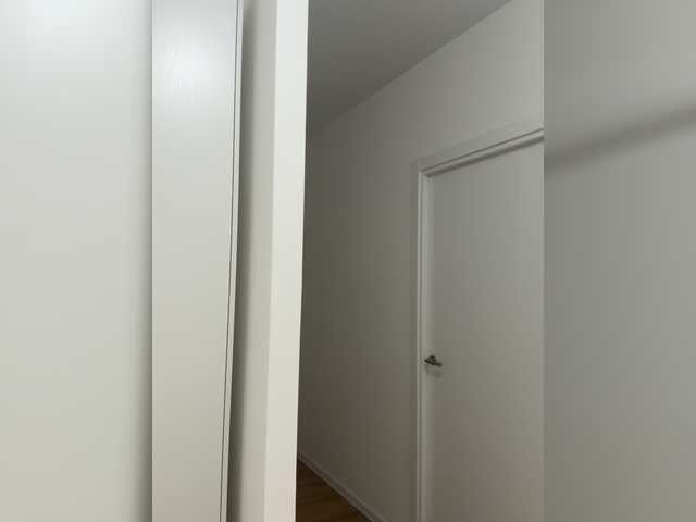 Preview of amelia575-1