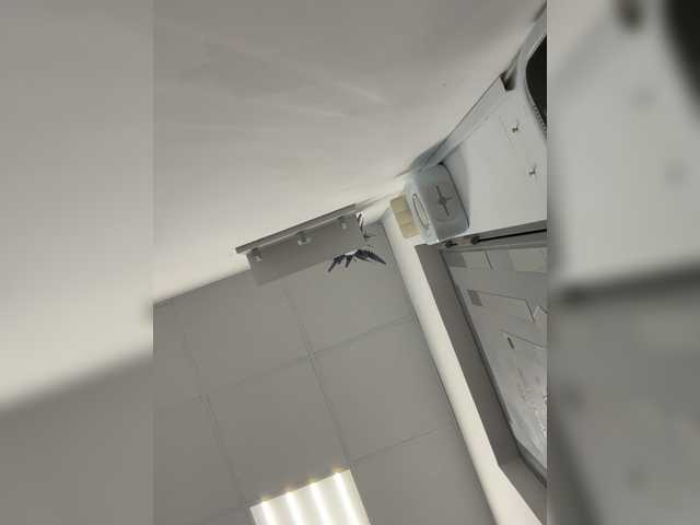 Amelia575-1's BongaCams show and profile