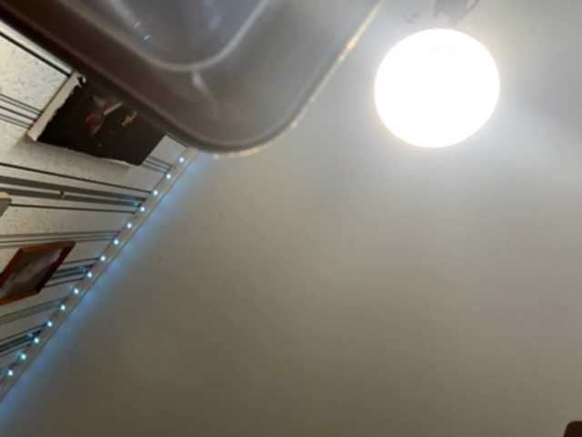  enchanty-shawty chat room