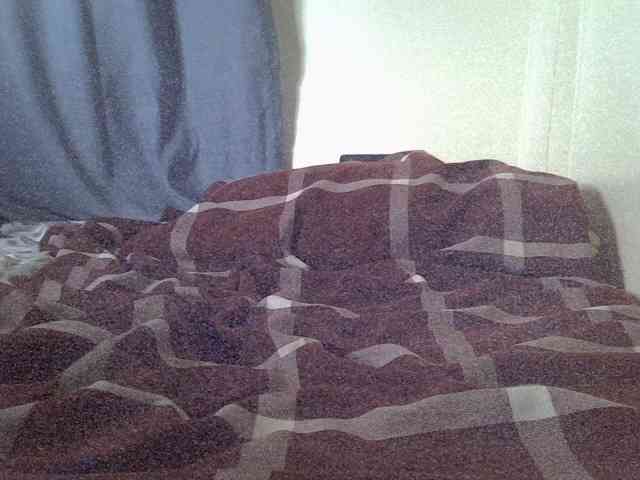 Valentine01 webcam