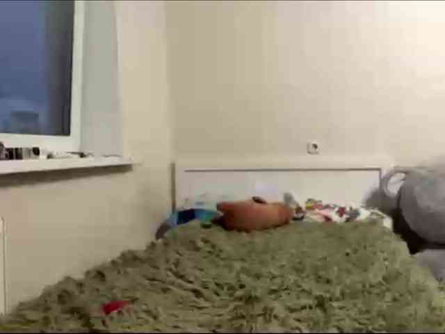waxenvice webcam