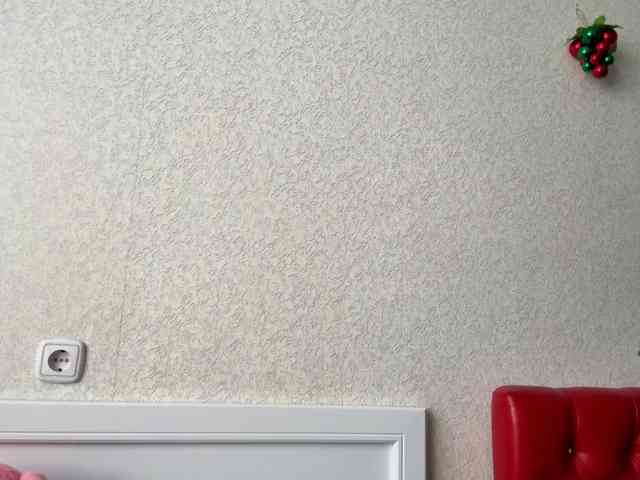waxenvice webcam