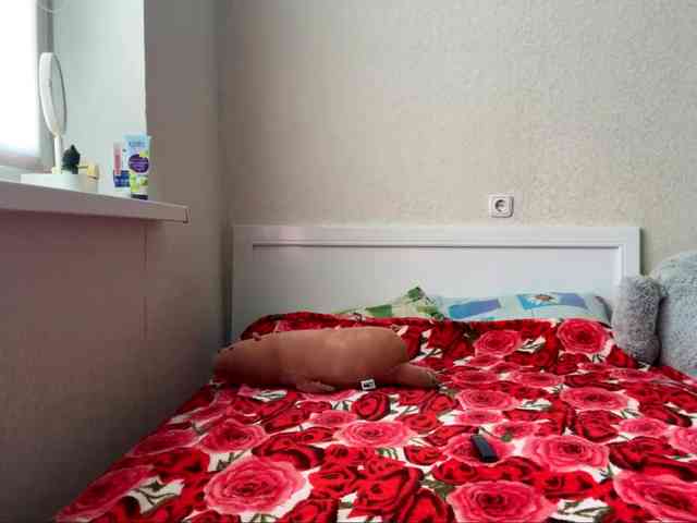 waxenvice webcam
