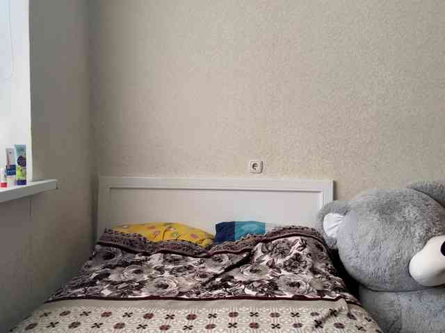 waxenvice webcam