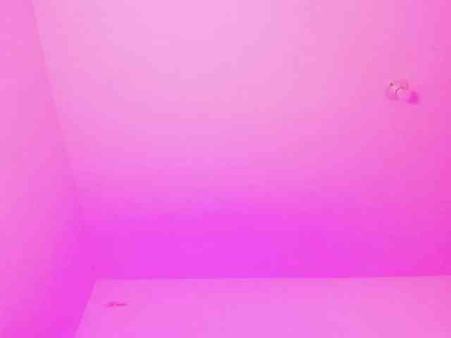 Cherryblossom233