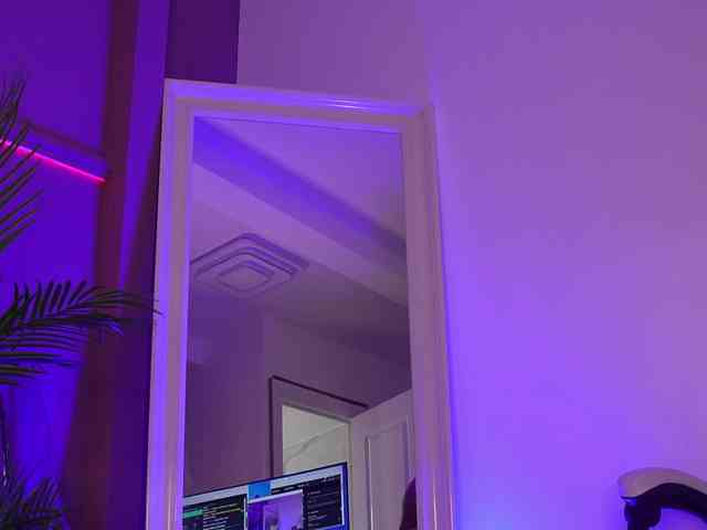 BettyVelvet webcam