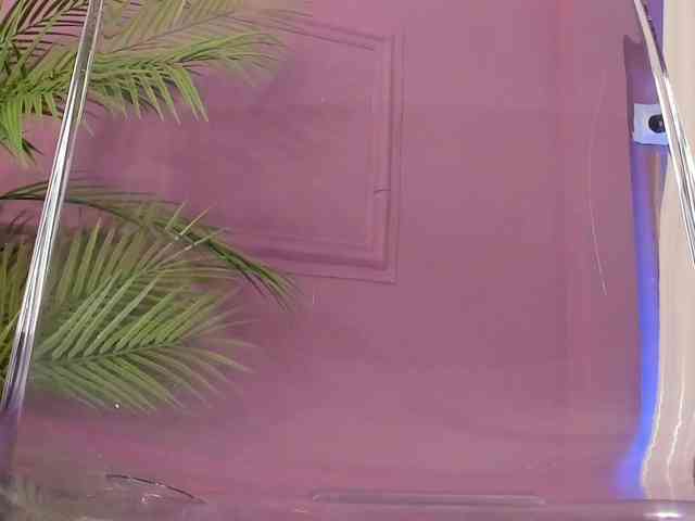 BettyVelvet webcam