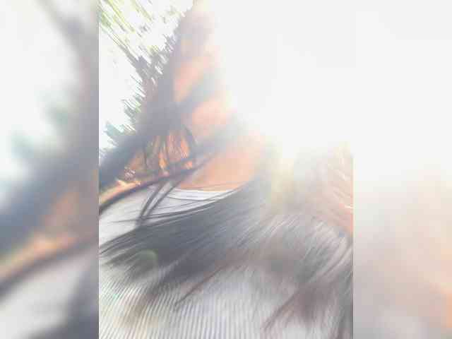 SamanthaaBrownn