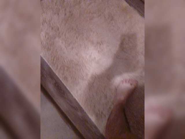Milfa-M