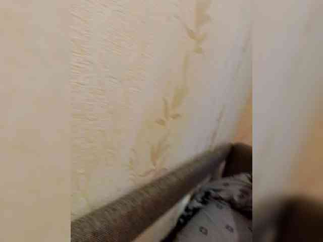 Milfa-M webcam