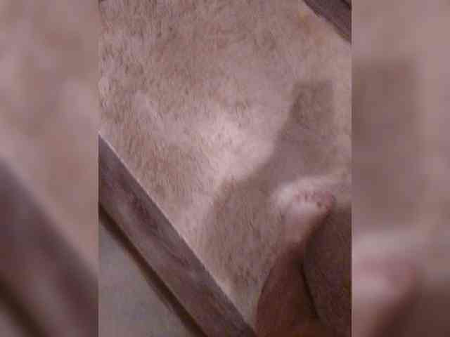 Milfa-M webcam