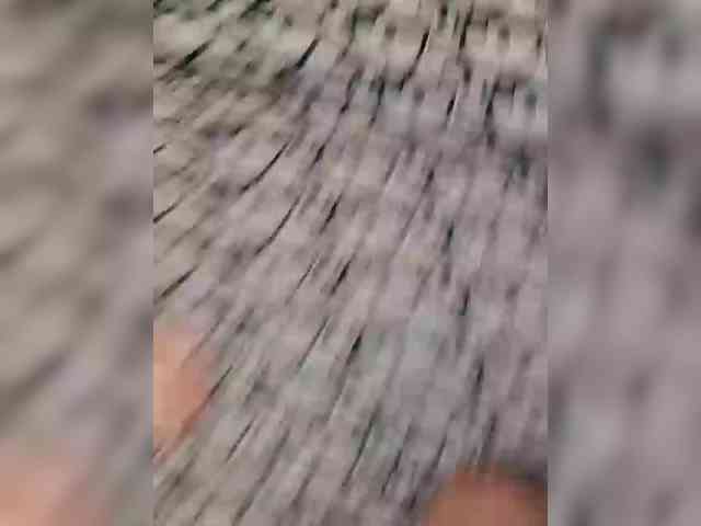 Модель: Milfa-M