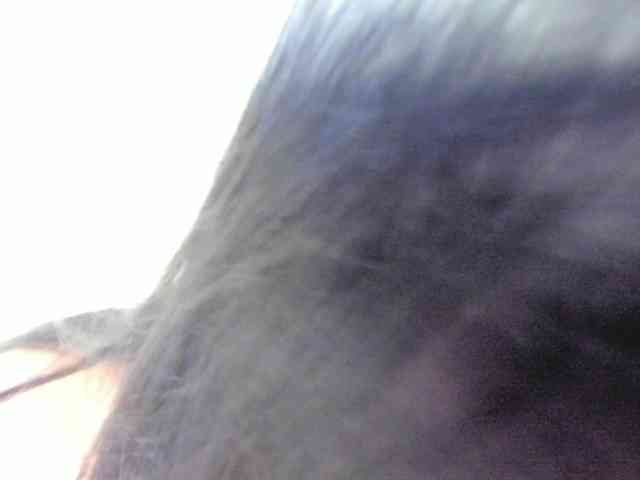 Chloecollins
