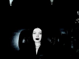 TheDominatrix Porn Show