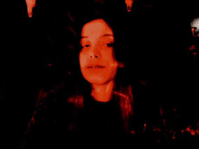 TheDominatrix