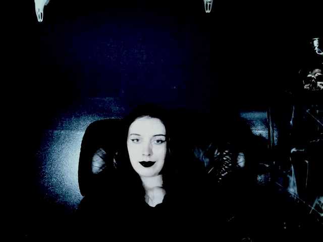 theDahlia