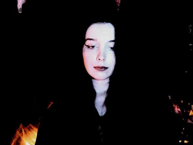 theDahlia
