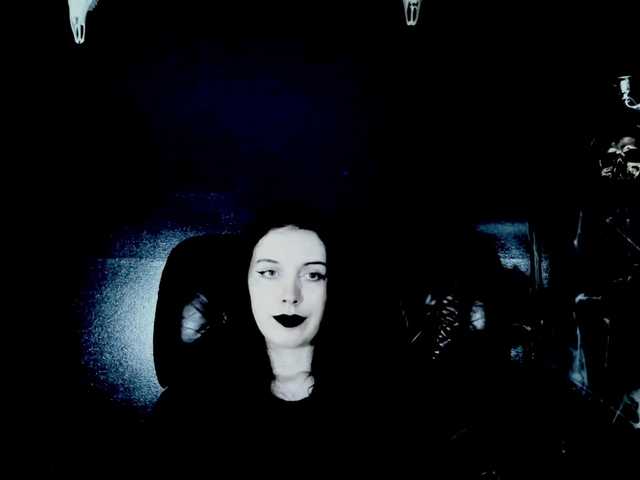 theDahlia