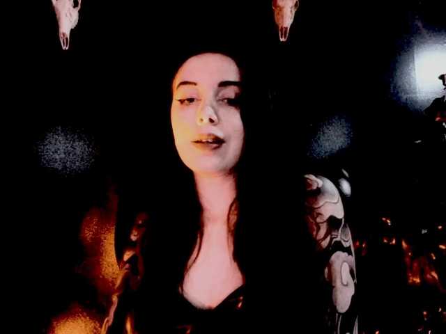 theDahlia live cam preview