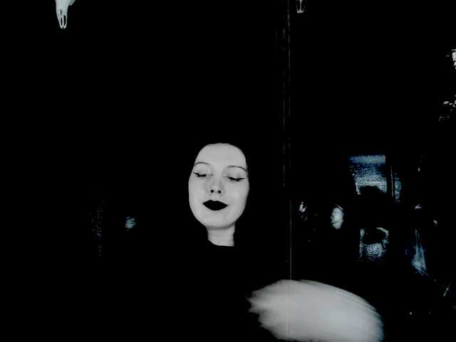 MissToxic live cam on BongaCams