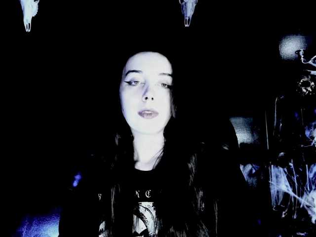 theDahlia
