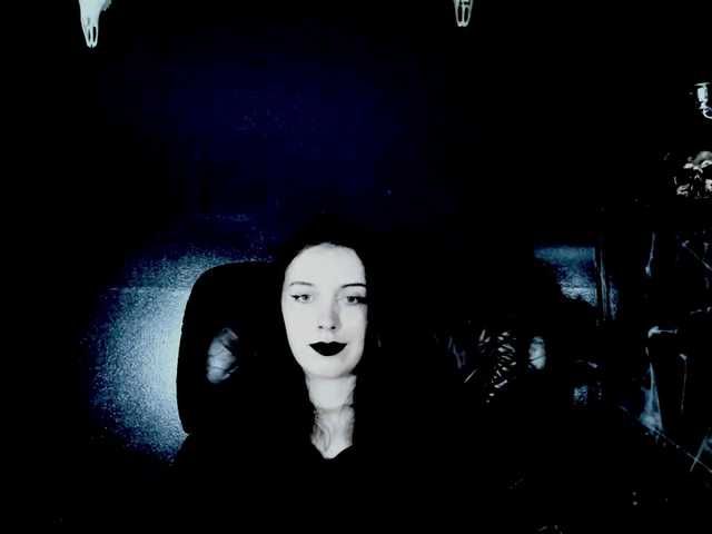 theDahlia