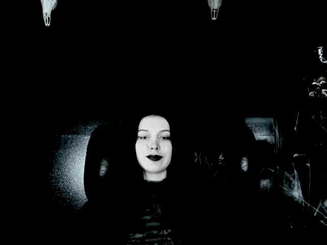 TheDominatrix