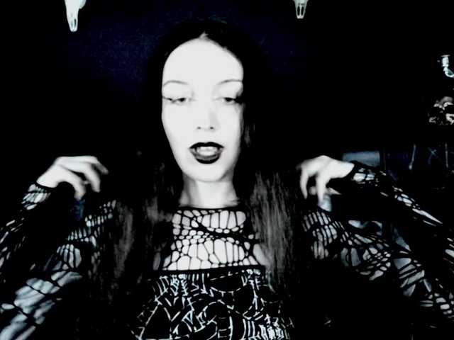 TheDominatrix