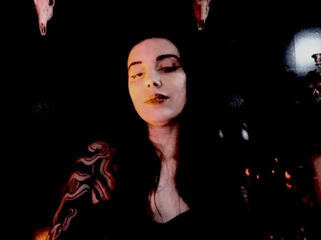 theDahlia