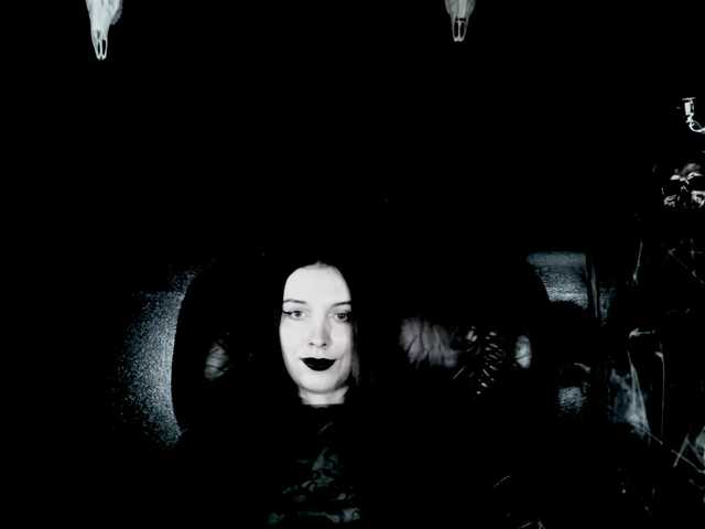 TheDominatrix