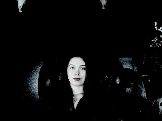 TheDominatrix