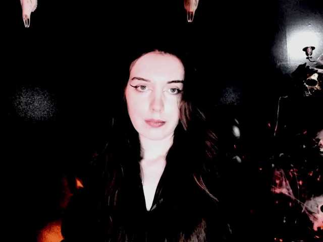 theDahlia