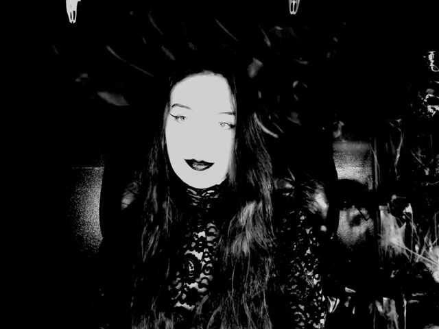 theDahlia
