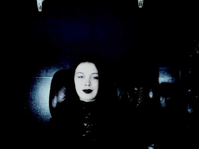 theDahlia