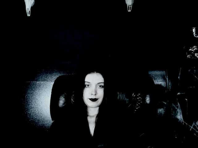 TheDominatrix