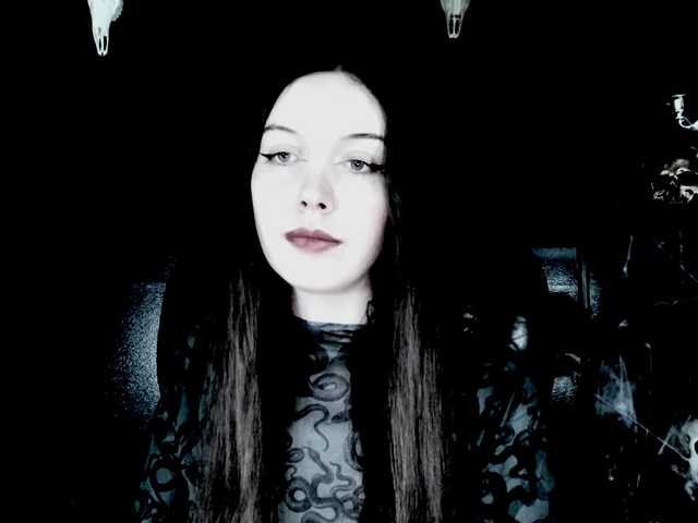 MissToxic live cam on BongaCams